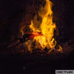 Hache De Plein Air DICTUM Avec Tête De Frappe, Avec étui En Cuir Standard -Famille Outil Magasin 708474 03 A WE 8 DICTUM Outdoor Axt mit Hammerkopf WZ jpg c2