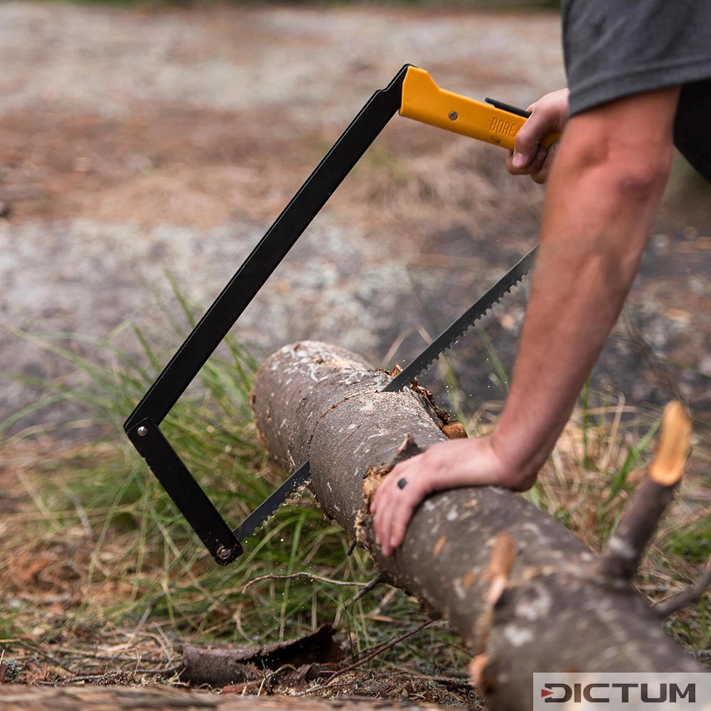 Scie Pliante Agawa »Boreal21«, 530 Mm -Famille Outil Magasin 731672 01 A WE 8 Agawa Falts ge Boreal21 WZ jpg