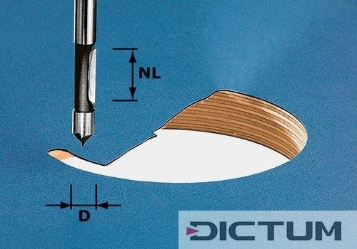 Festool Fraise De Perçage HW S8 D8/19 -Famille Outil Magasin